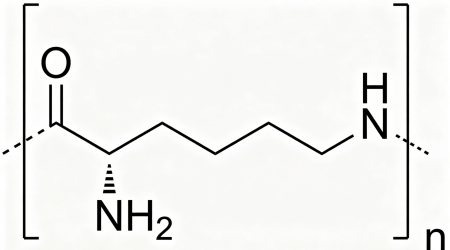 polylysine-1