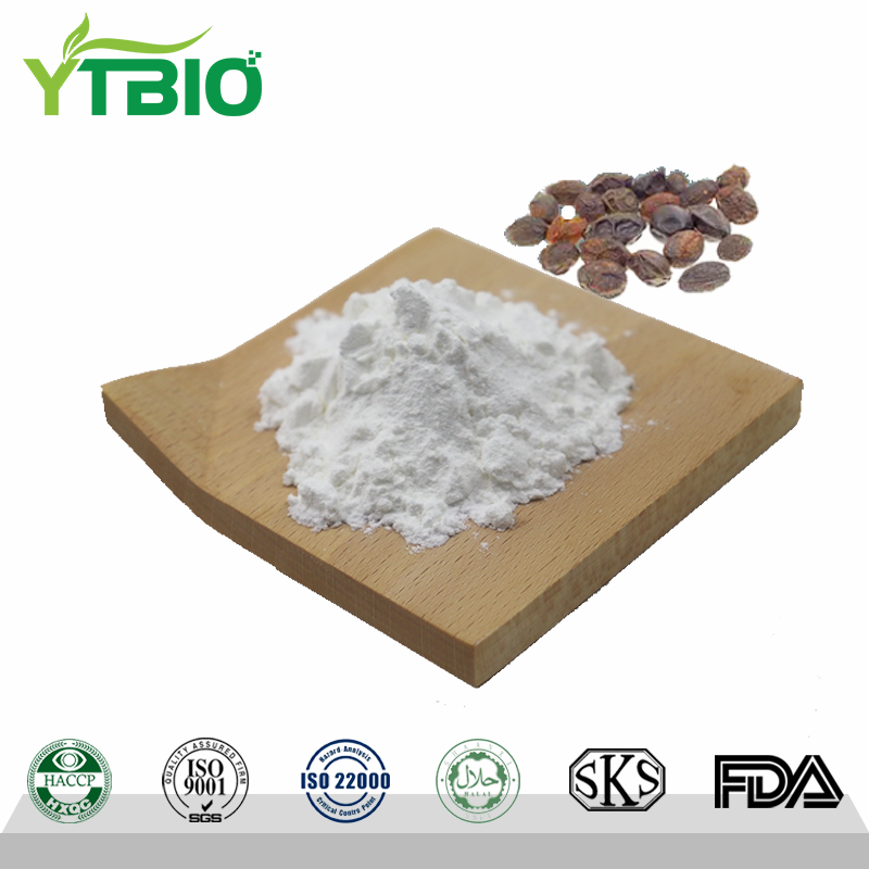 saw-palmetto-extract.png