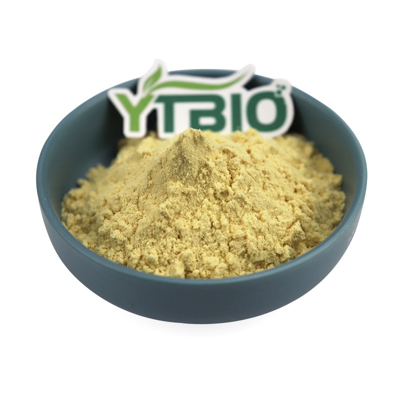 Kaempferol: A Natural Flavonoid with Antioxidant Benefits for Health & Wellness