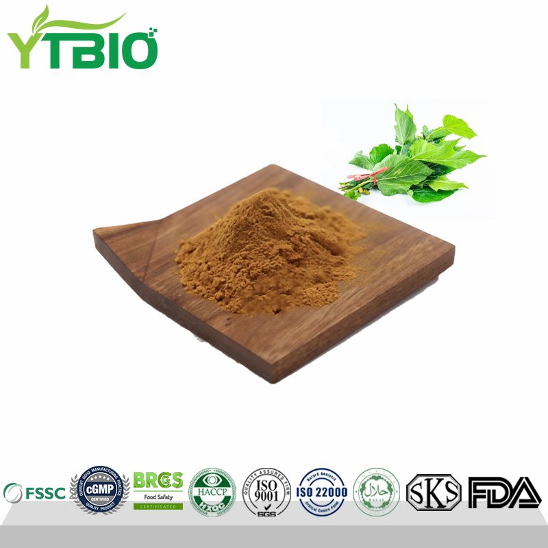 Mulberry-Leaf-Extract.jpg