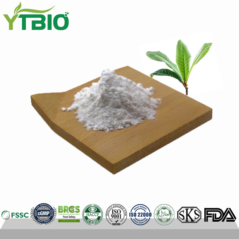 Loquat Leaf Extract Ursolic Acid 50% India